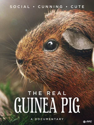 Постер: The Real Guinea Pig
