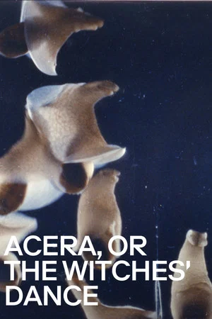 Постер: Acera, or the Witches' Dance