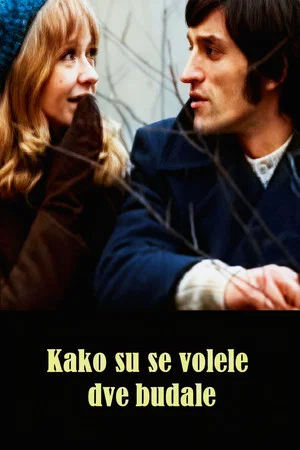 Постер: How the Two Fools Loved Each Other