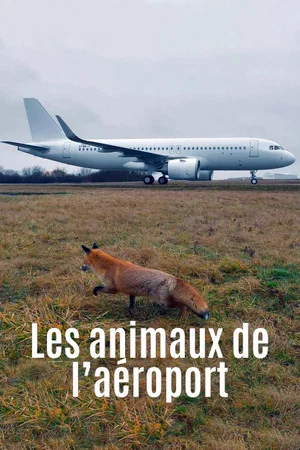 Постер: Les animaux de l’aéroport