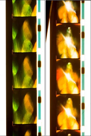 Постер: Quick Billy: Six Rolls; 14/41/43/46/47/52