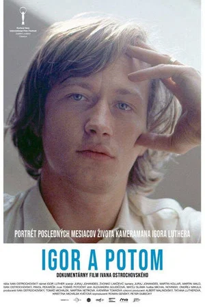 Постер: Igor and After