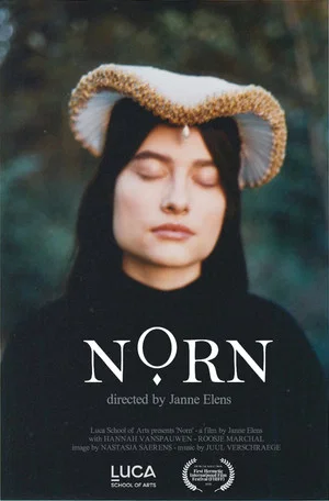 Постер: Norn