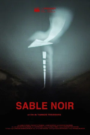 Постер: Sable noir