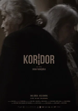Постер: Corridor