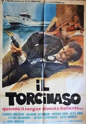 Постер: Il torcinaso