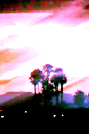 Постер: Florida Ghost