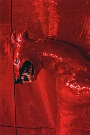 Постер: A Red Score in Tile