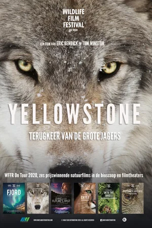 Постер: Yellowstone