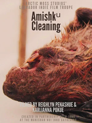 Постер: Harvesting Traditional Innu Foods: Amishkᵘ