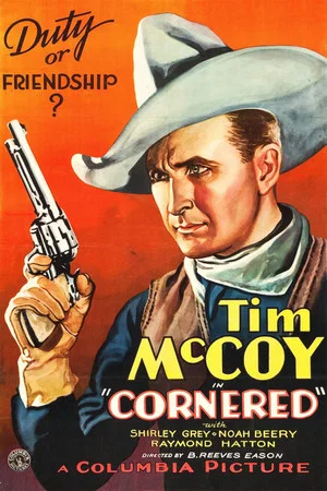 Постер: Cornered