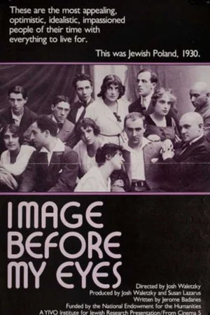 Постер: Image Before My Eyes