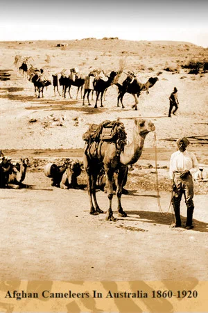 Постер: Afghan Cameleer in Australian from 1860-1920