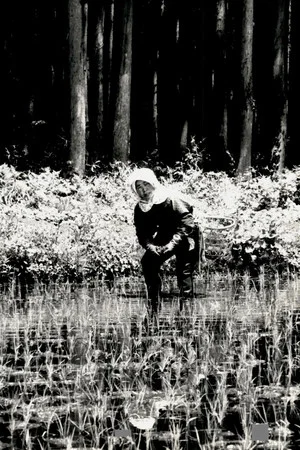 Постер: The Japanese Part 3: Farm Song