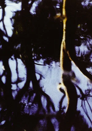 Постер: Corporeal