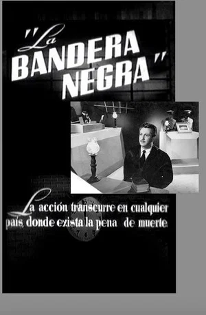 Постер: The Black Flag