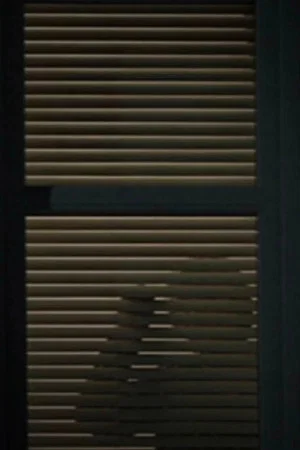 Постер: Unsilenced