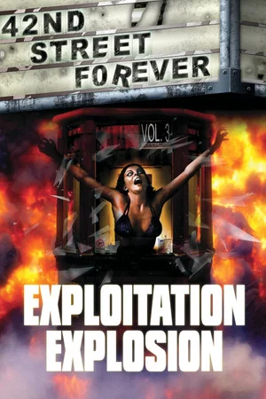 Постер: 42nd Street Forever, Volume 3: Exploitation Explosion