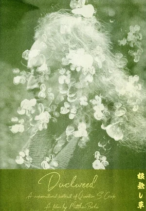 Постер: Duckweed