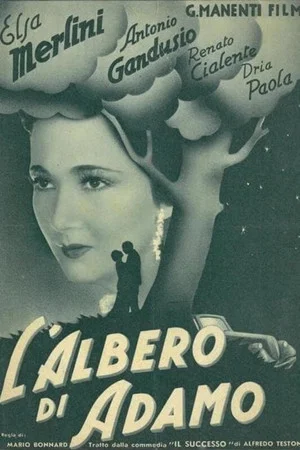 Постер: L'albero di Adamo