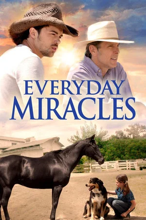 Постер: Everyday Miracles