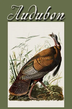 Постер: Audubon