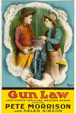 Постер: Gun Law