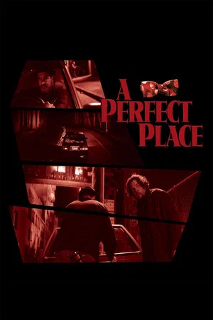 Постер: A Perfect Place