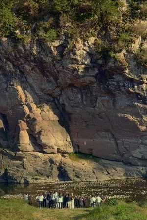 Постер: ​The Haunted Cat and the Unfolding Petroglyph​