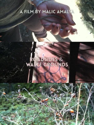 Постер: Roadsides and Waste Grounds