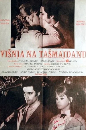 Постер: The Girl in the Park