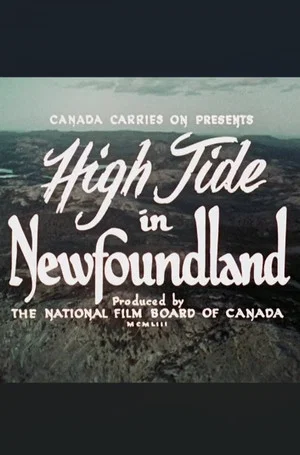 Постер: High Tide in Newfoundland