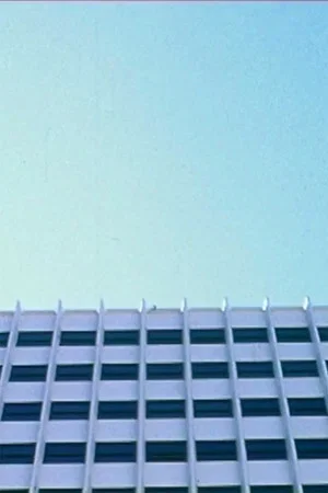 Постер: Descenso
