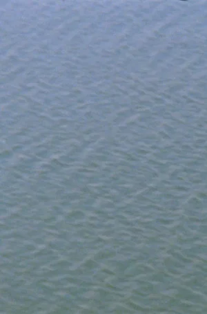 Постер: Upstream (into America)