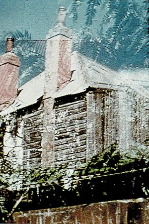 Постер: Backyard