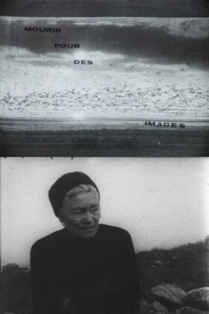 Постер: Mourir pour des images