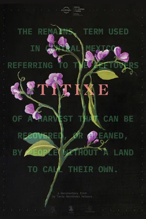 Постер: Titixe