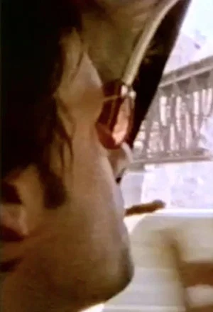 Постер: Seeing Through Paul
