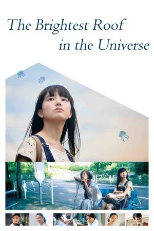 Постер: The Brightest Roof in the Universe