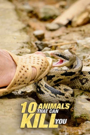 Постер: 10 Animals That Will Kill You