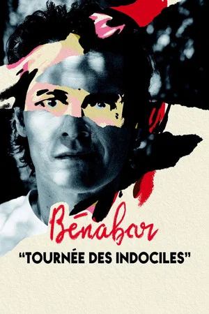 Постер: Bénabar - Tournée des indociles