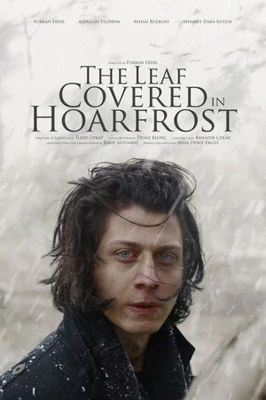 Постер: The Leaf Covered in Hoarfrost