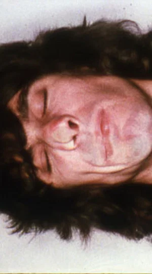 Постер: Glass Face