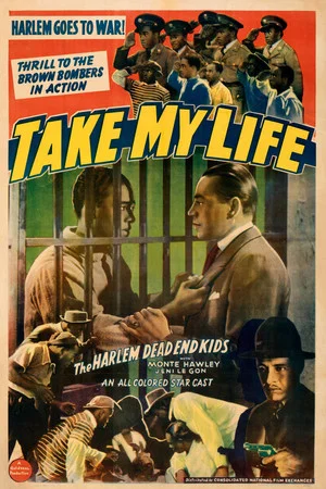 Постер: Take My Life