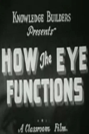 Постер: How the Eye Functions