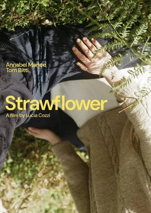Постер: Strawflower