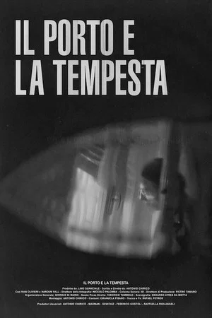 Постер: Il porto e la tempesta