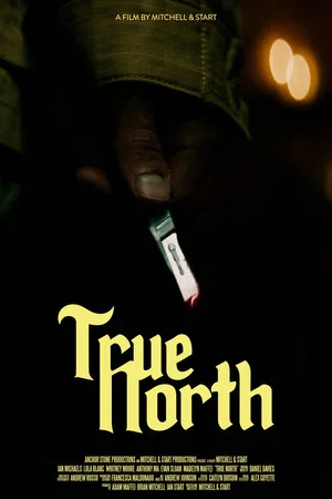 Постер: True North