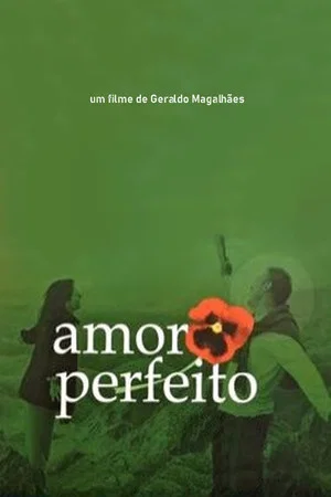 Постер: Amor Perfeito