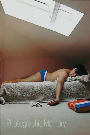 Постер: Photographic Memory